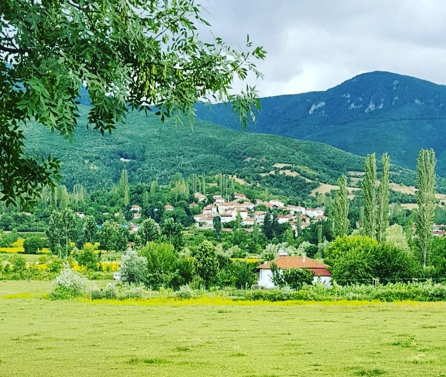 Köyümüzden Seçmeler 19